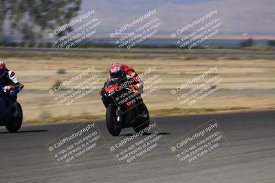 media/Aug-04-2024-TrackDaz (Sun) [[e1ff0814b6]]/Group A/Grid/